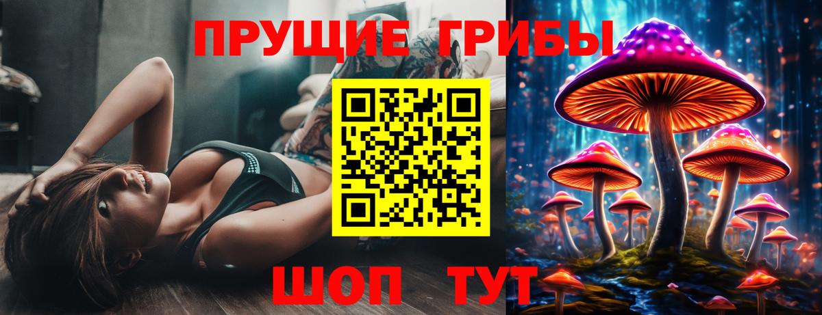 Лесозаводск  Псилоцибиновые грибы прущие грибы  Вход с VPN 