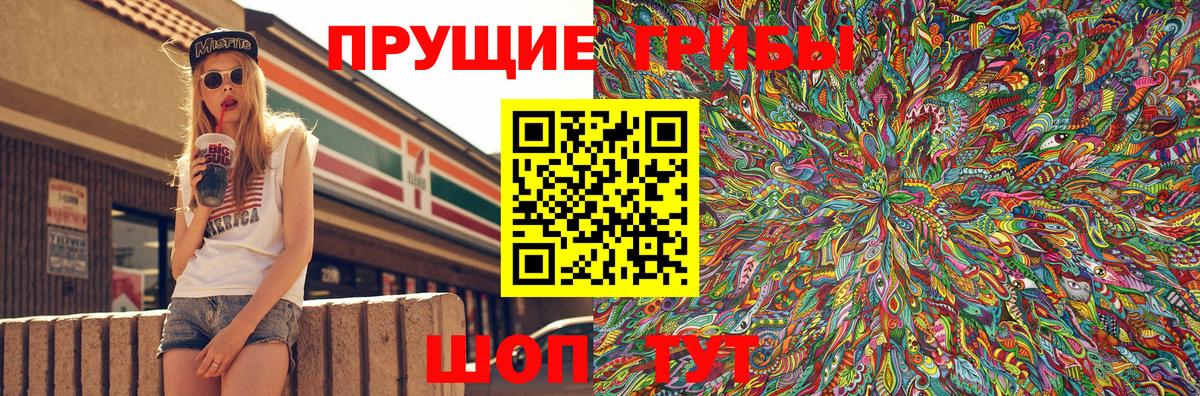 Псилоцибиновые грибы Cubensis Лесозаводск